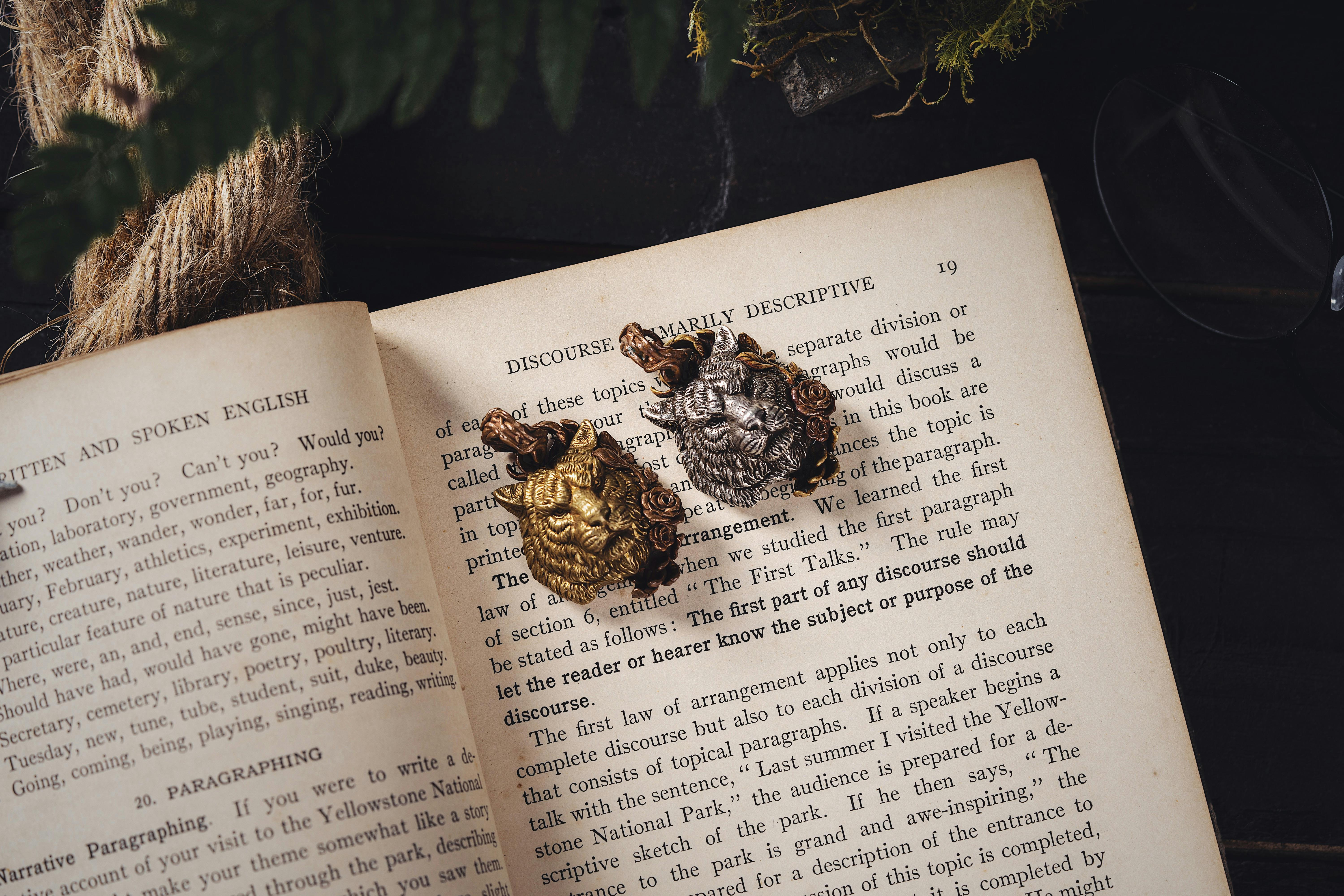 tiger shape brooches on a book