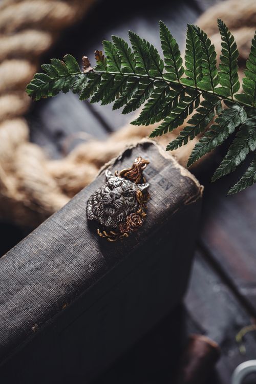 Free A silver tiger brooch with gemstone details placed on a rustic wood surface, adorned with ferns. Stock Photo