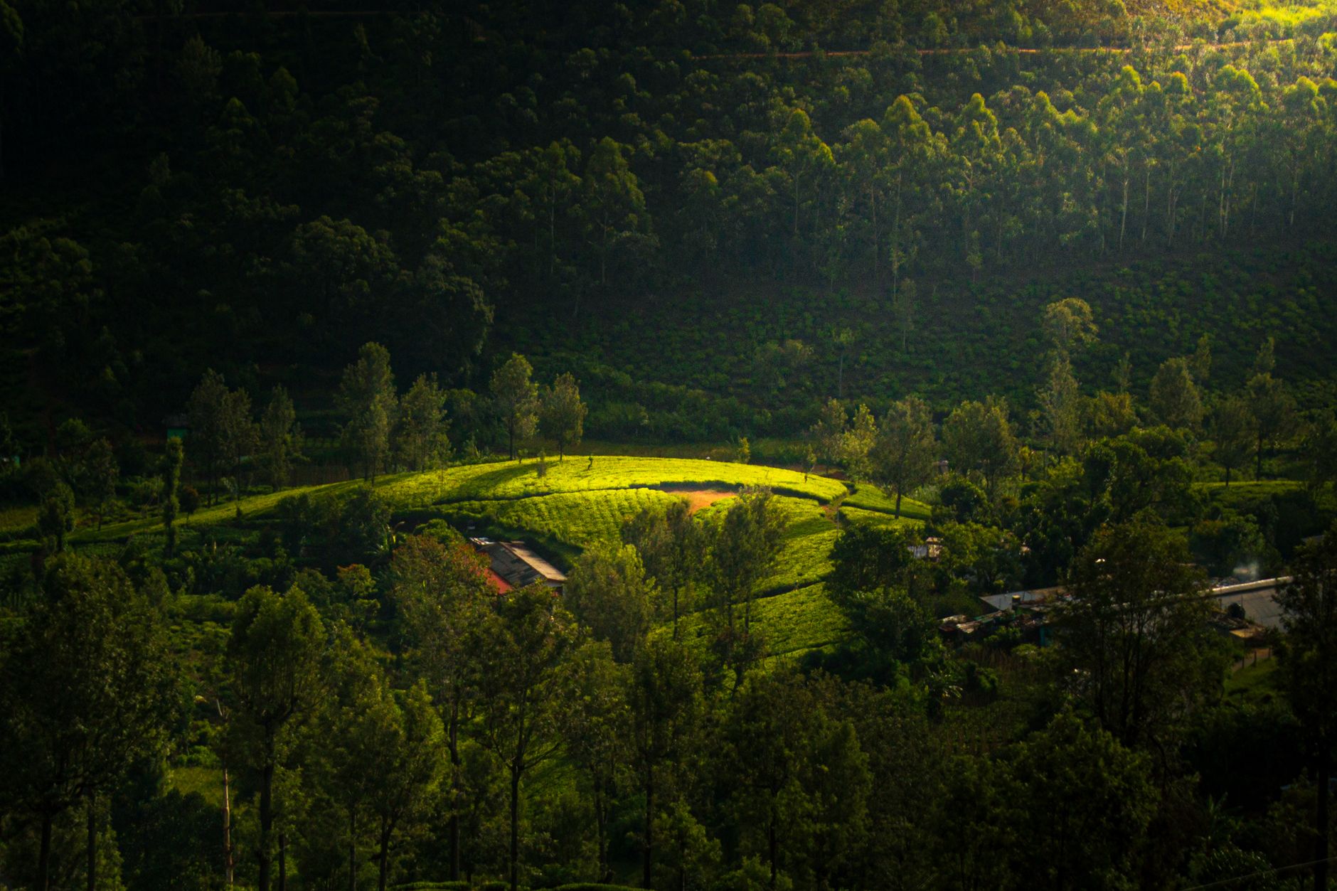 Blue train crossing Nine Arch Bridge among wooded hills near Ella