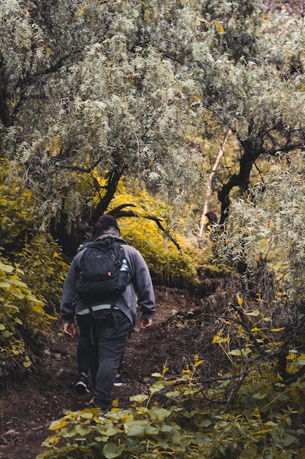 Regional Variations: Exploring the Oden Landscape Regional Variations: Exploring the Oden Landscape