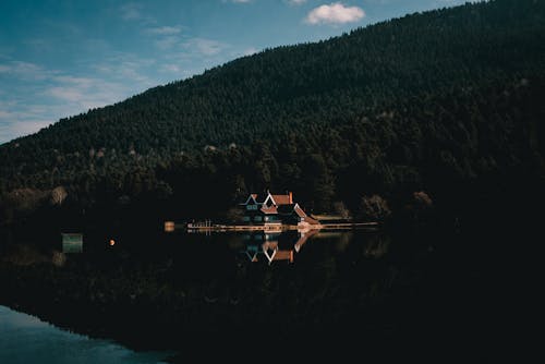 Imagine de stoc gratuită din arbori, blueclouds, cămin