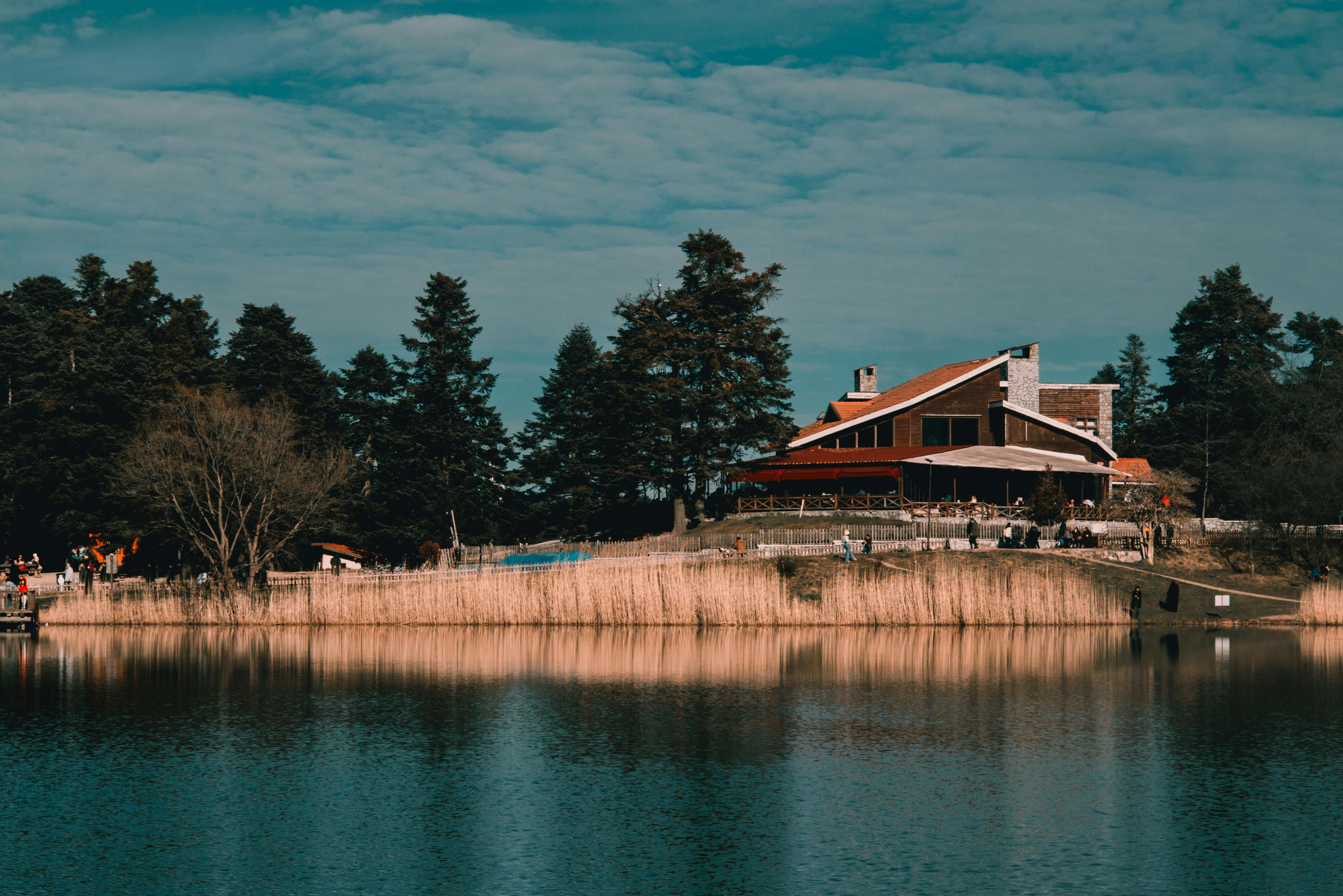 Rushes and Trees on Lakeshore with Building behind · Free Stock Photo