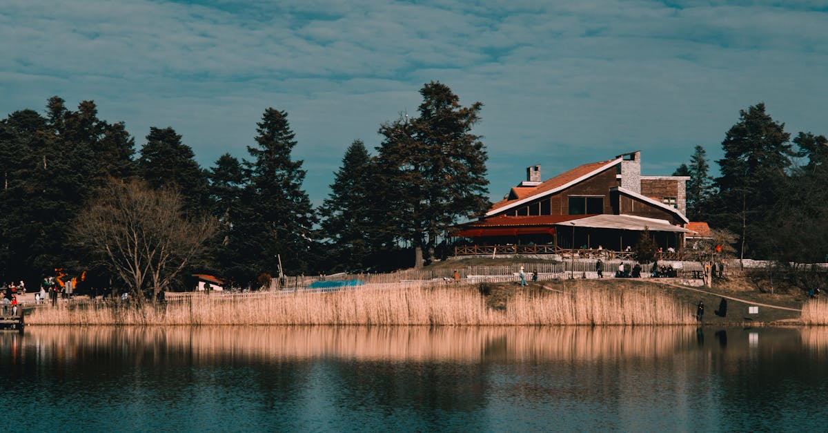 Rushes and Trees on Lakeshore with Building behind · Free Stock Photo