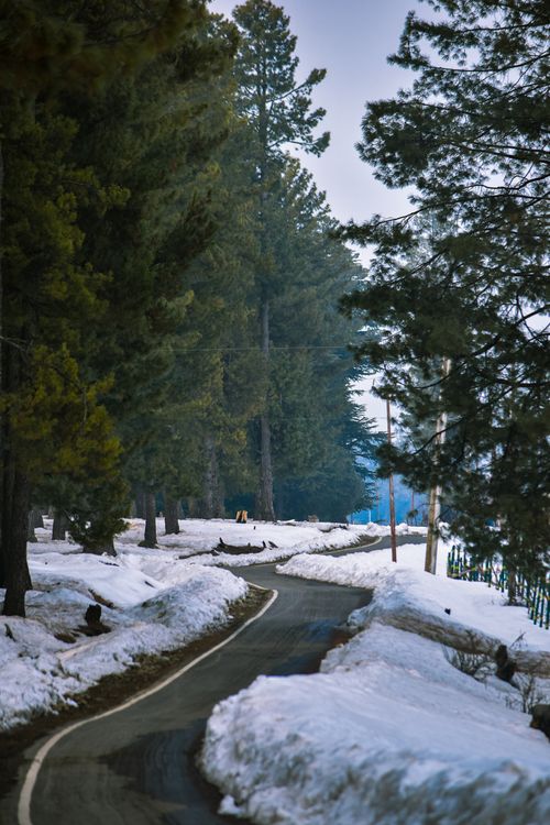Free Serene forest road winds through snow-covered landscape on a winter day. Stock Photo