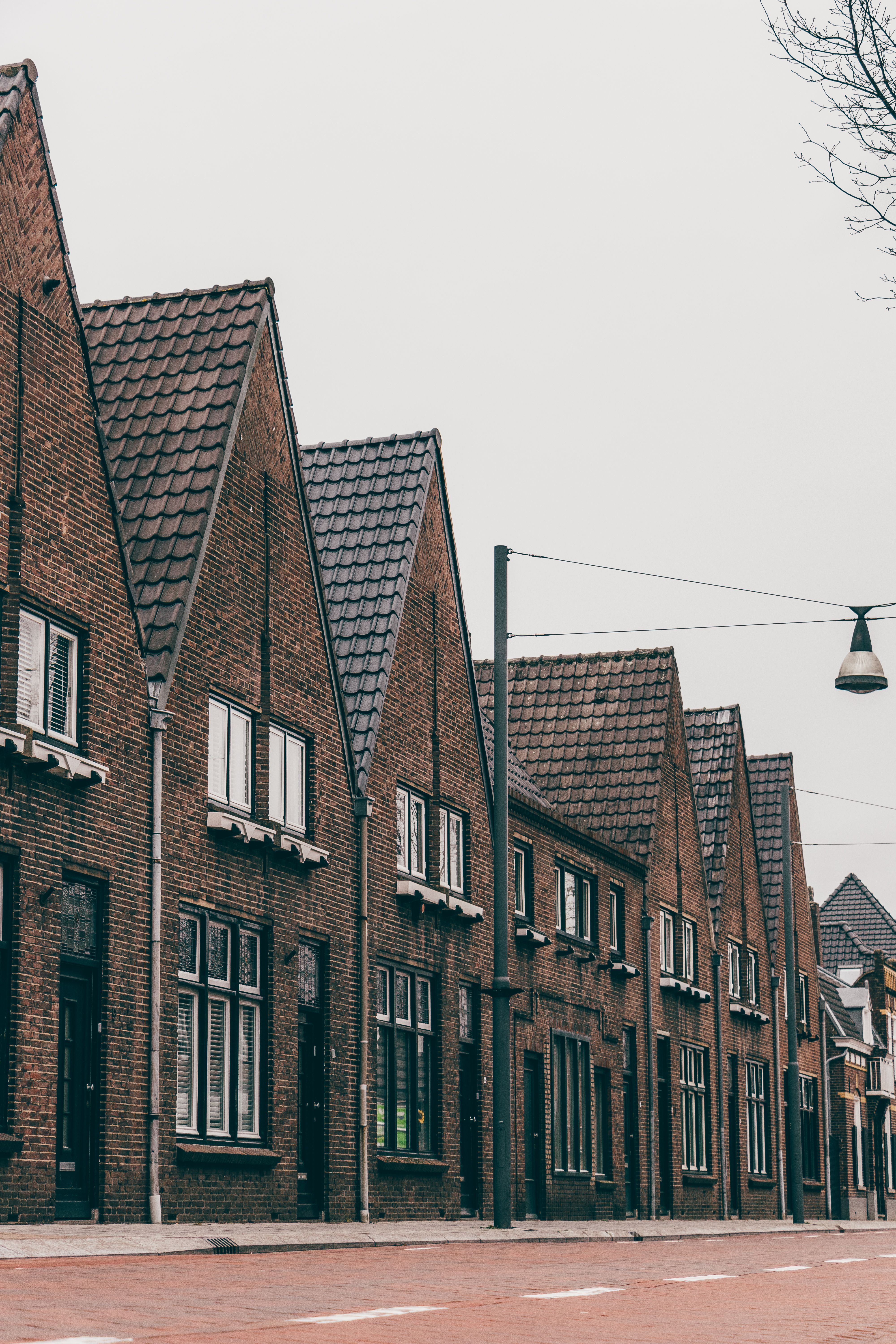 This photo shows several houses lined up along a quiet street.