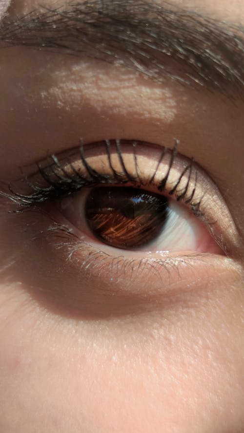 Darmowe zdjęcie z galerii z brązowe oczy, kobieta, oko