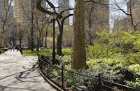 春日阳光明媚的纽约市中央公园，展示着郁郁葱葱的绿色植物和摩天大楼