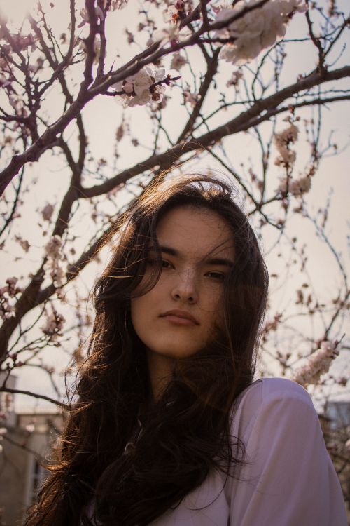 Free A woman poses under blossom-covered branches, capturing spring's essence. Stock Photo