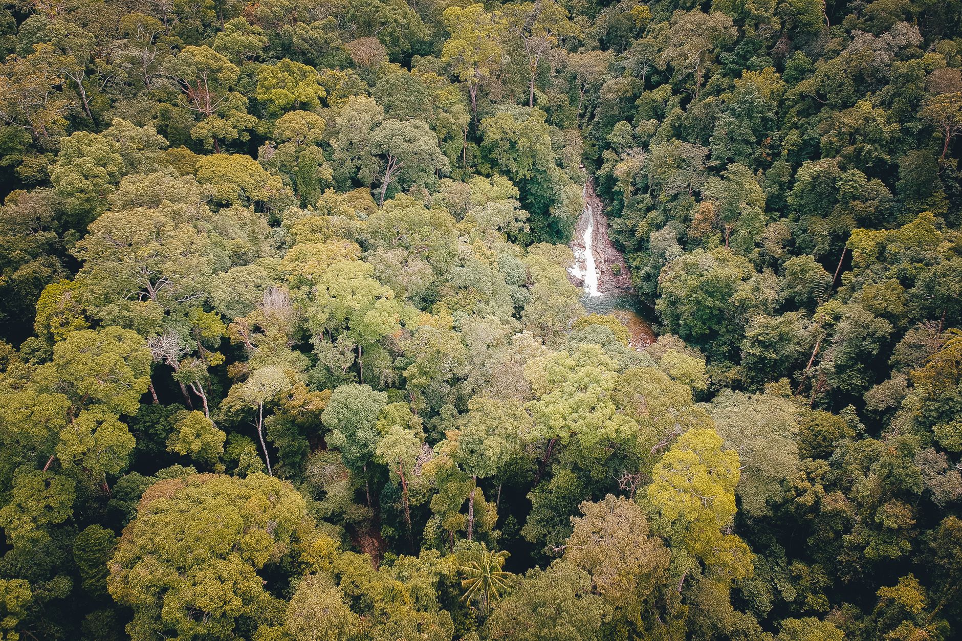 Borneo, Malaysia