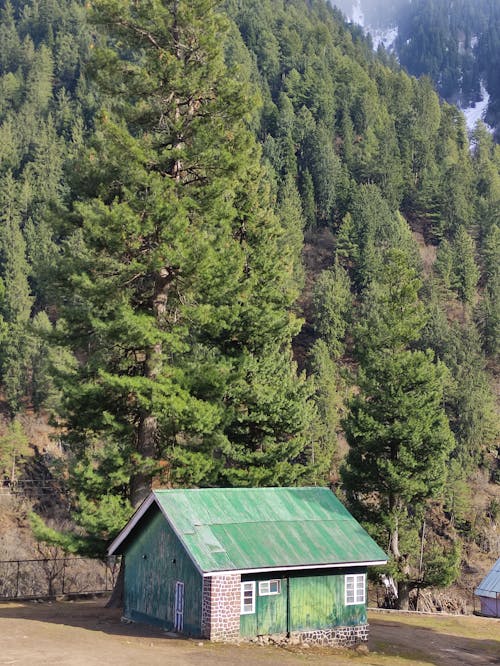 A House in a Valley, near a Coniferous Forest