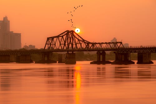 Birds Flying over Long Bien Bridge on Red River