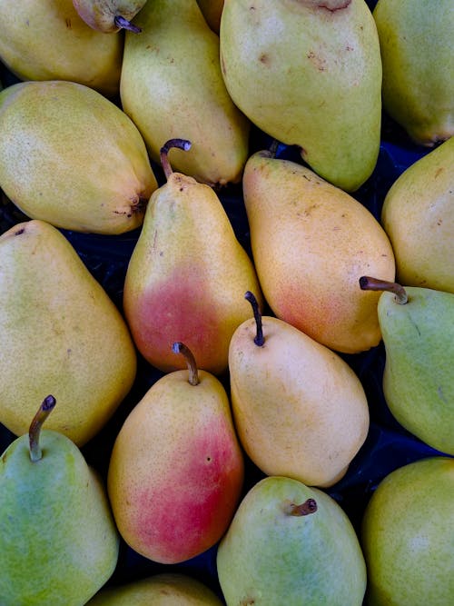 Ilmainen kuvapankkikuva tunnisteilla hedelmä, päärynät, pystysuuntainen laukaus