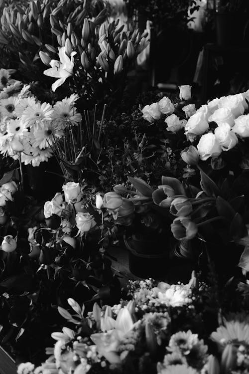 Gratis arkivbilde med blomster, blomsterblad, høy vinkel visning