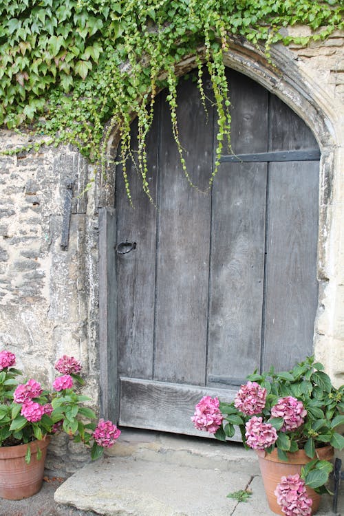 бесплатная Закрытая коричневая деревянная дверь сада Стоковое фото