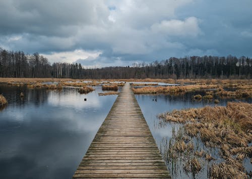 Wooden Pier by the Lake 