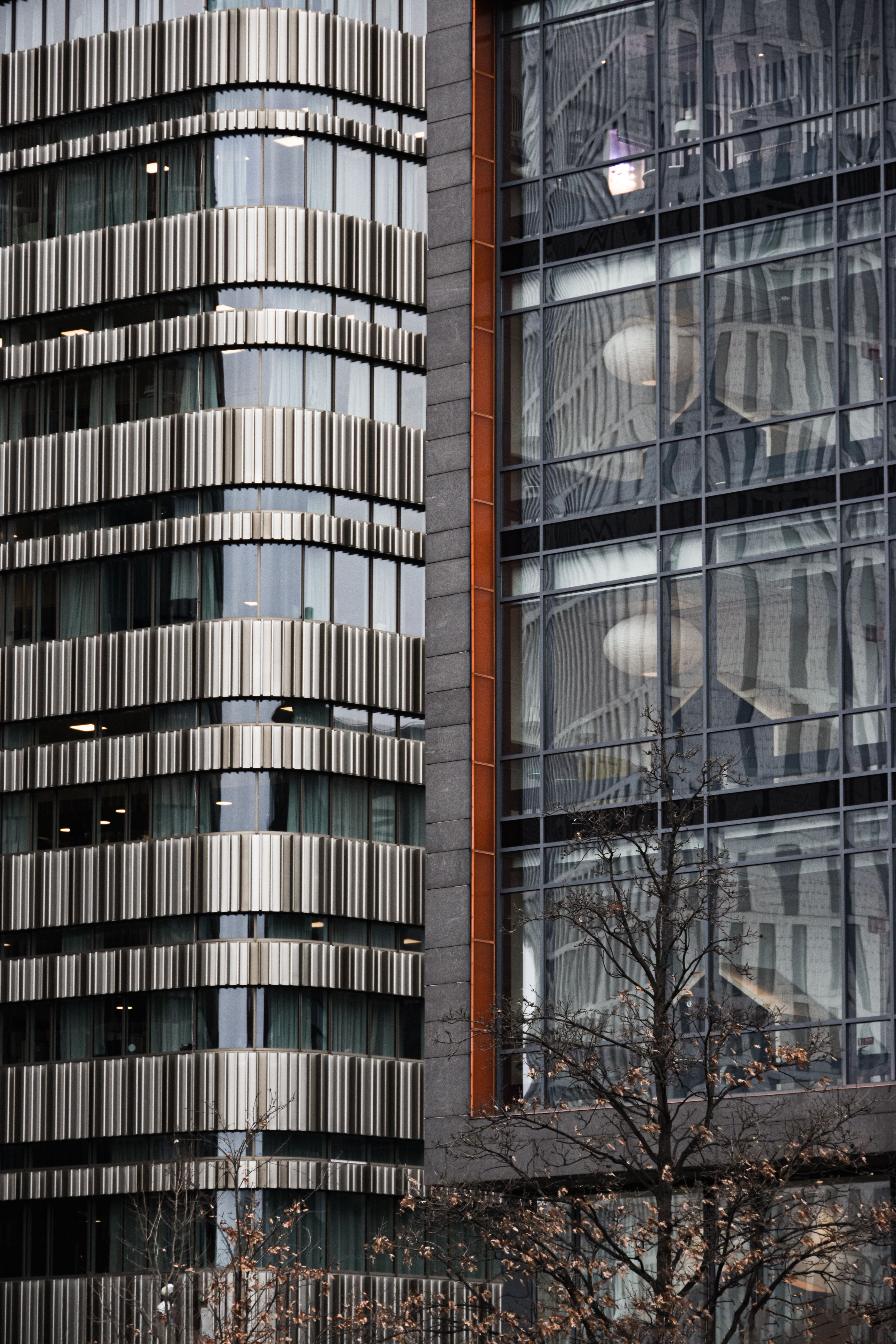 Tree and Buildings behind · Free Stock Photo