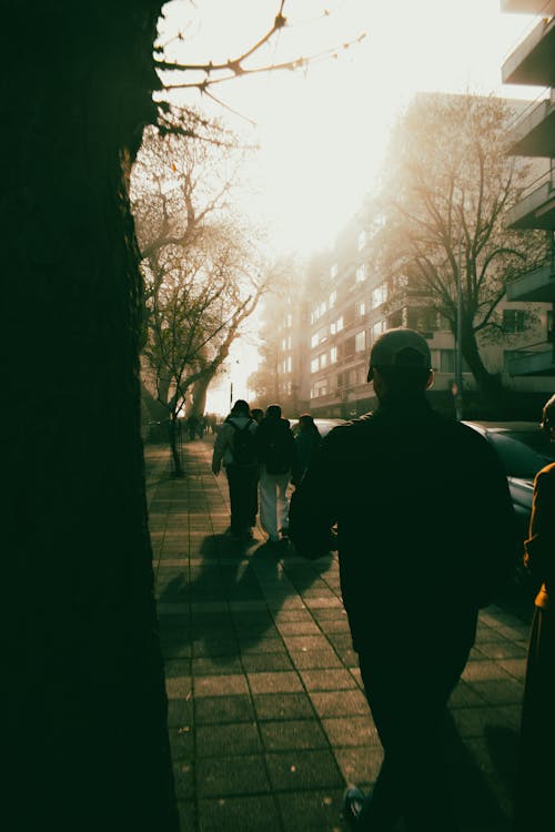 Sunlight over People Walking on Sidewalk