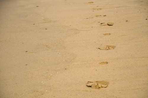 Free Peaceful footprints in the sand on a Los Angeles beach, perfect for summer vibes. Stock Photo