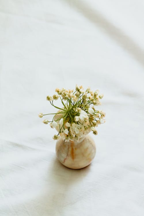 Tiny White Flowers in a Vase