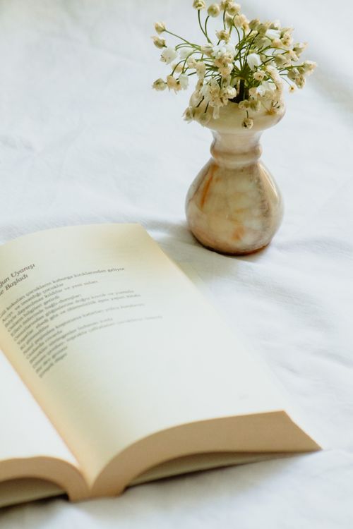 Free A serene still life of an open book and delicate flowers in a vase on a white surface. Stock Photo