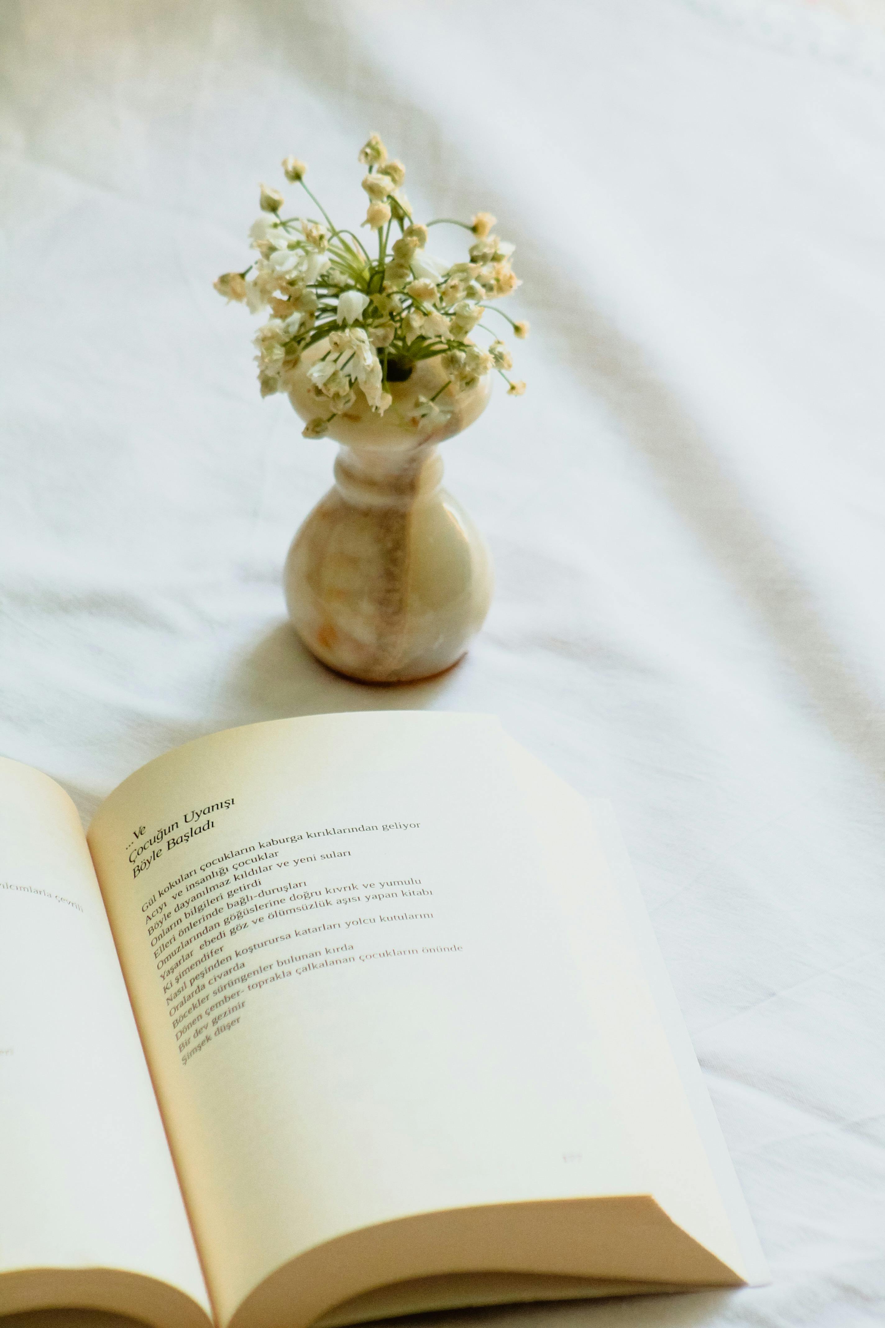 White Flower on a Book, White Paper Sheet with Copy Space for Your Work.  Stock Photo - Image of comfort, sheet: 244816788