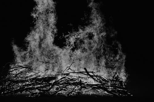 Black and White Picture of a Campfire 