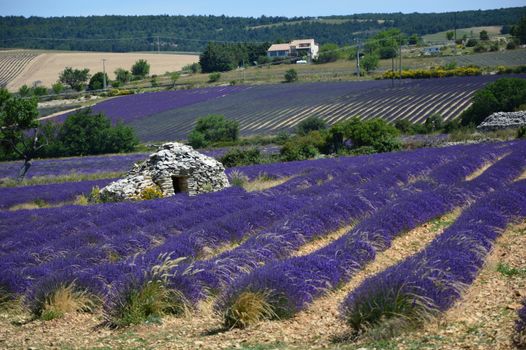 Aix-en-Provence Cézanne trail — Provence