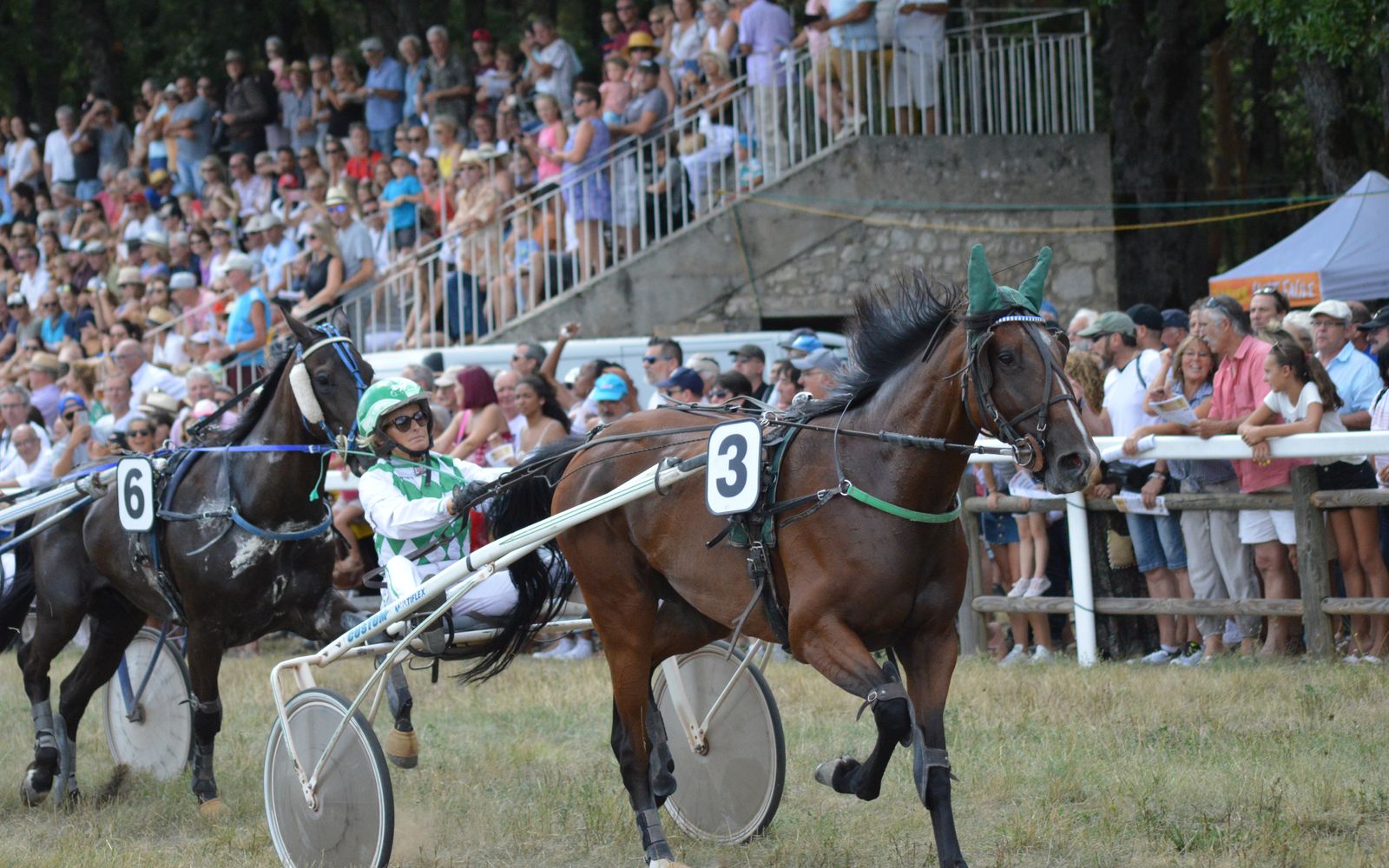 Chauffeur travel for Royal Ascot