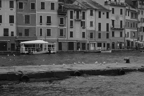 Black and White Picture of Waterfront Buildings along the Canal Grande 