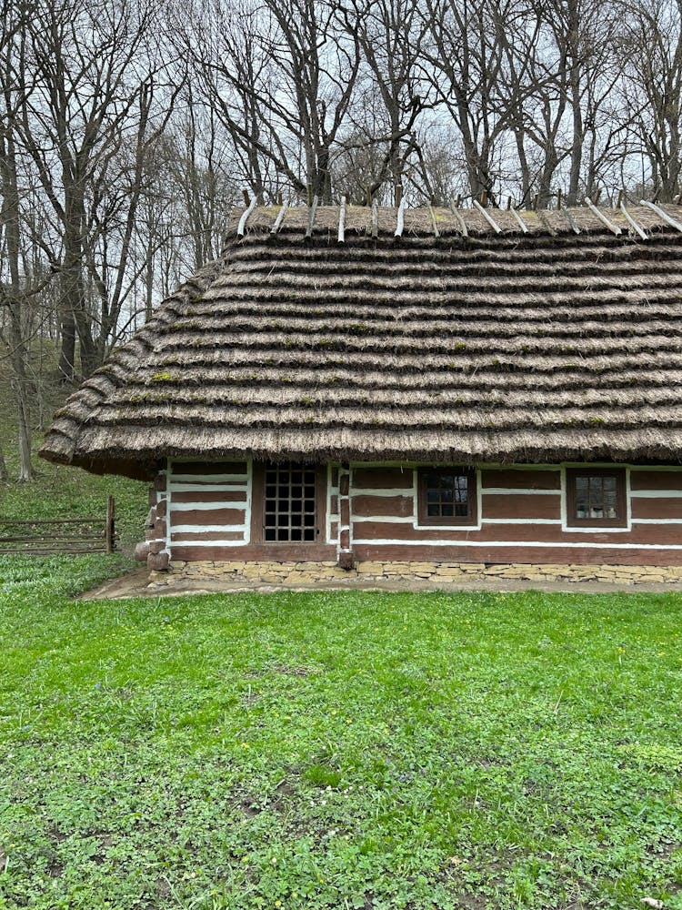 Grass And Wooden House Behind