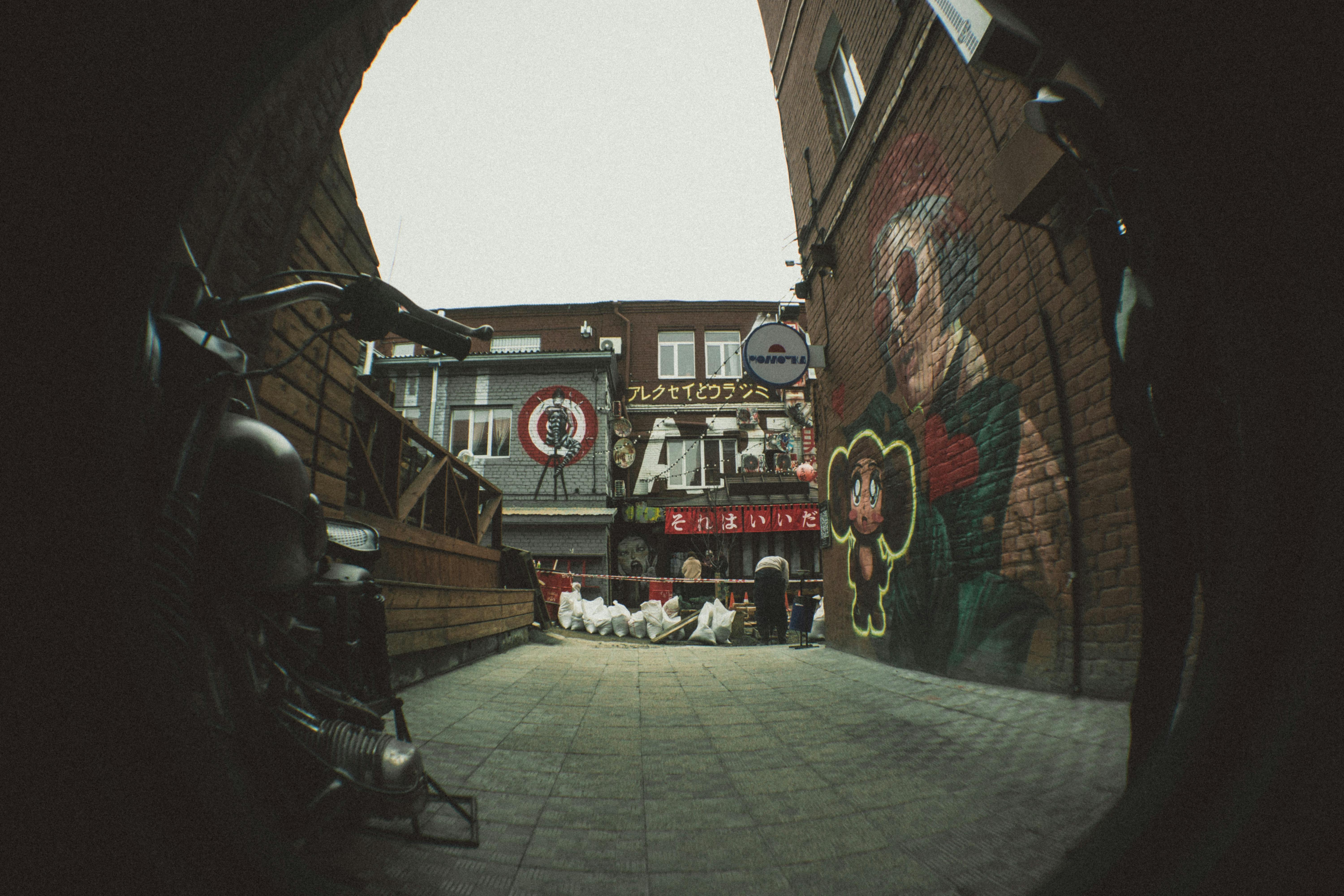 The once-low-key anime and manga subculture is now embracing a "painful lifestyle". — Photo by Антон Злобин on Pexels