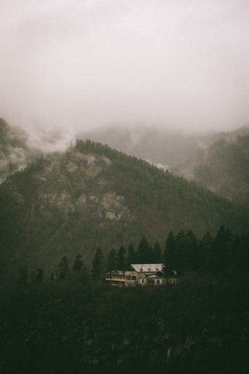 Foto stok gratis georgia, hutan, kabut