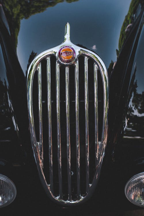 Kostenloses Stock Foto zu auto, fahrzeug, jaguar