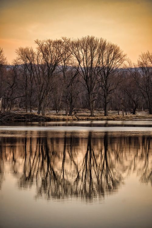 Free Calm river reflecting bare winter trees under a warm sunset in Wabasha, MN. Stock Photo