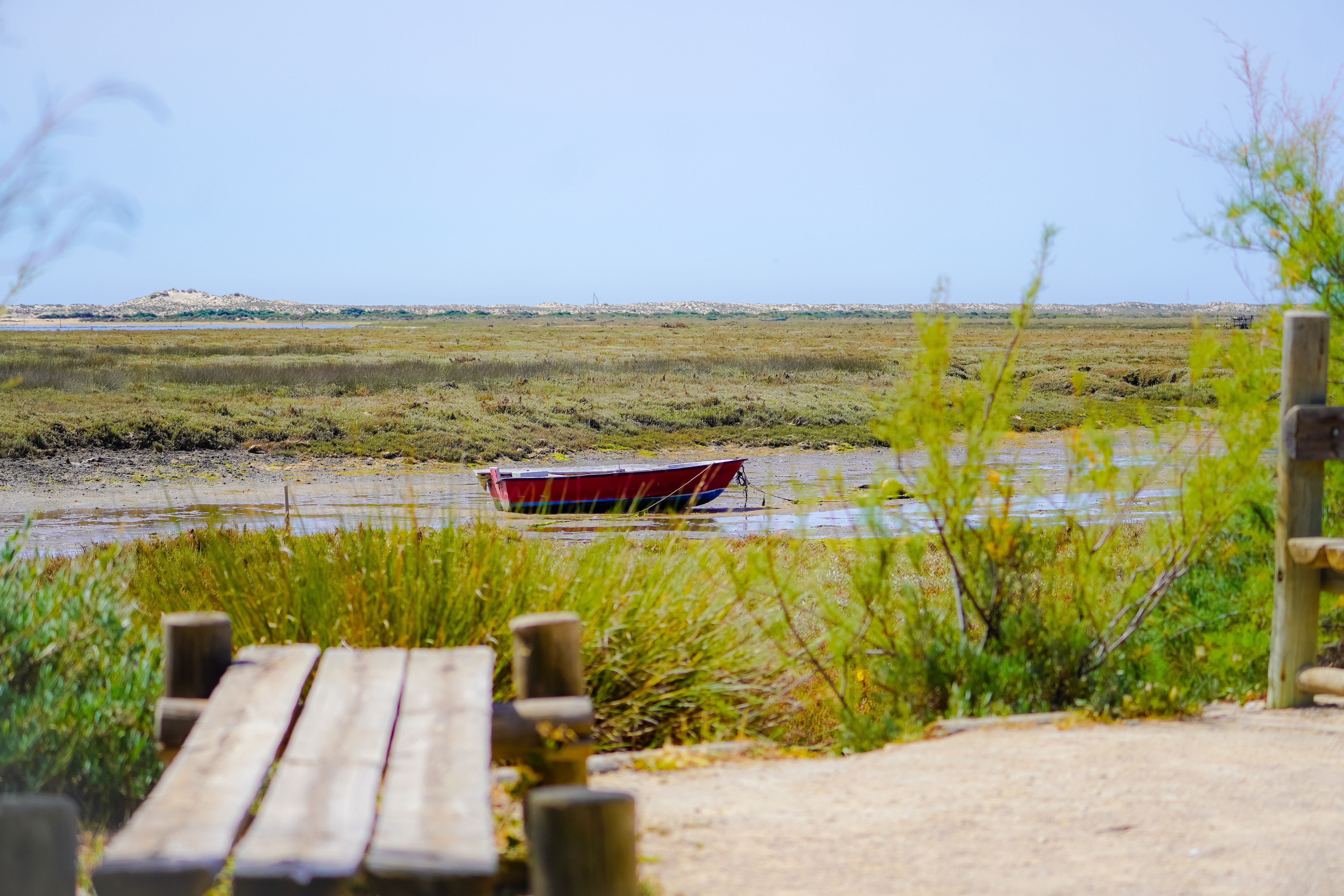 ria formosa natural park faro portugal lagoon birds flamingos