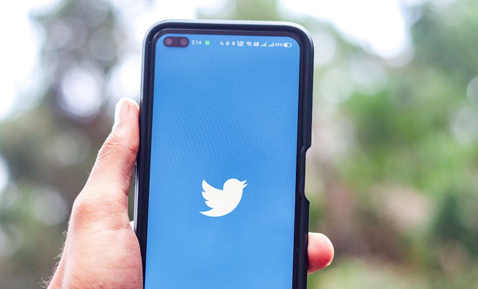 Social Media Endorsements: Boosting Your Online Presence