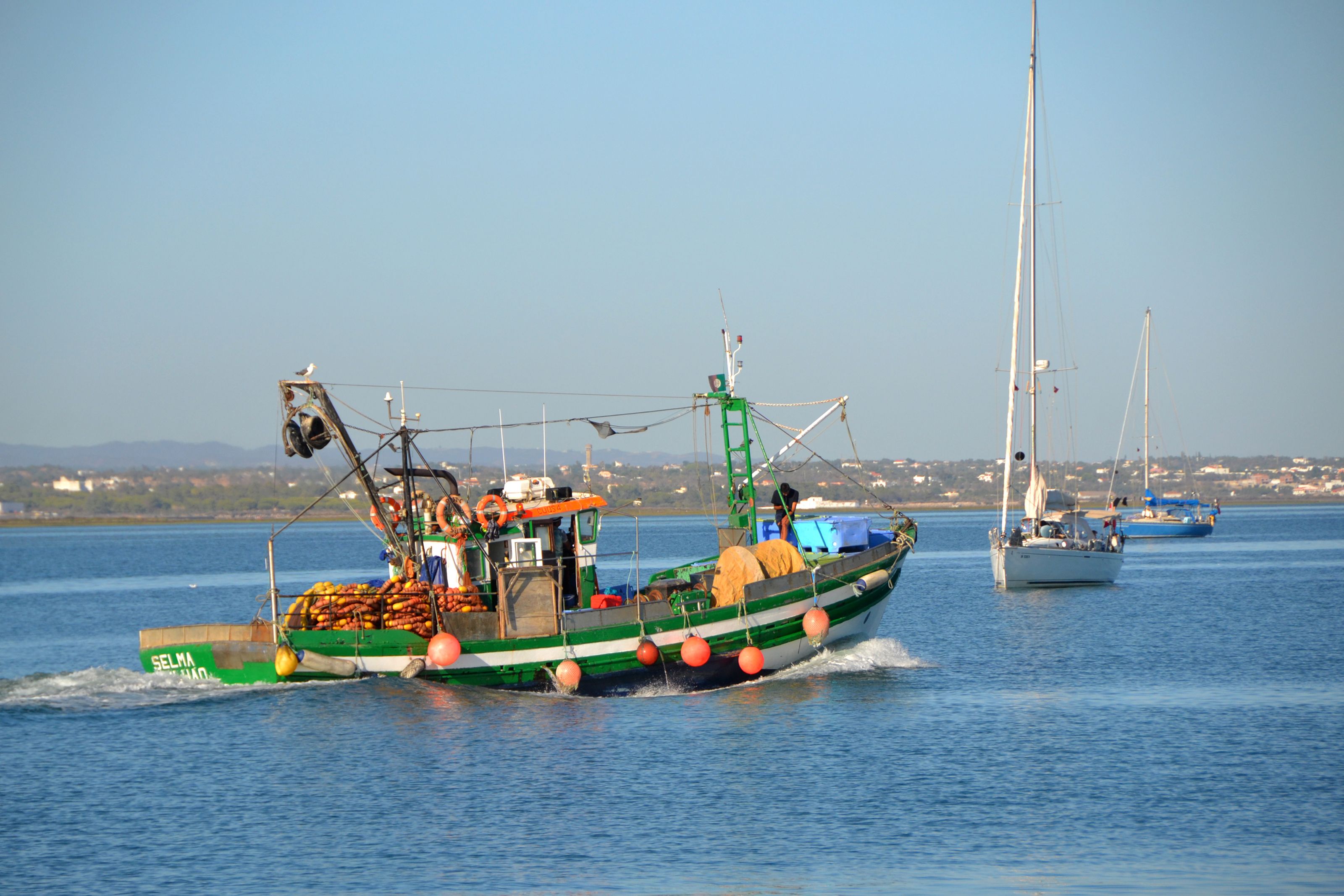 Colorful fishing boats in Olhão harbor, Portugal on a sunny day, showcasing local maritime activity.
