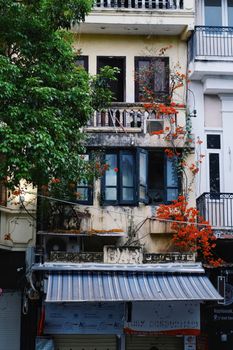 Vintage building facade covered with vibrant red flowers, showcasing urban charm and greenery.