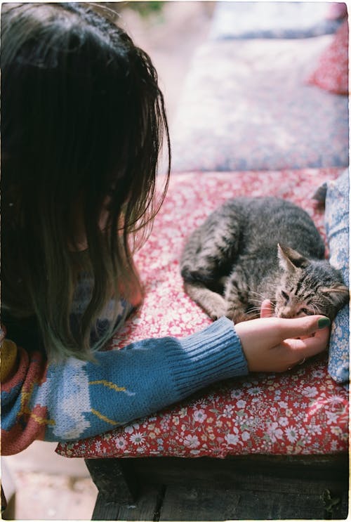 Woman Petting Tabby Kitten
