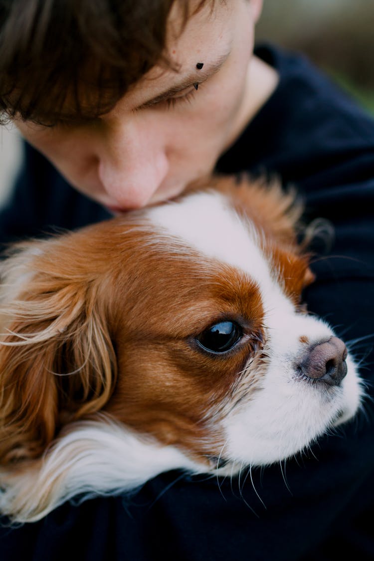 Man Hugging Cavalier King Charles Spaniel