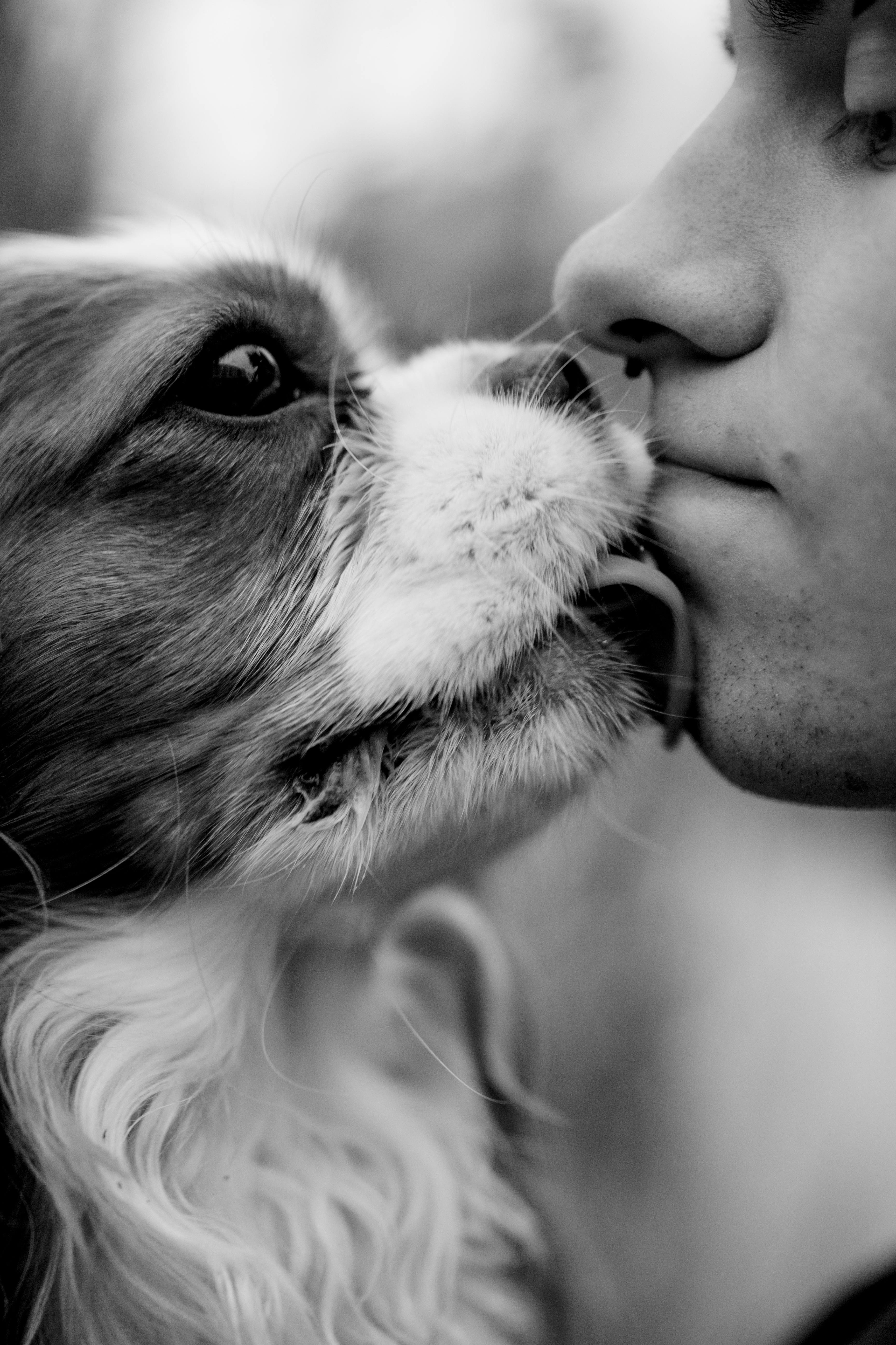 Intimate black and white photo of a dog playfully licking a man's face.