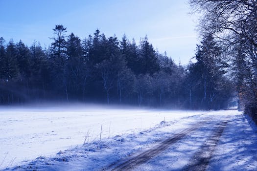 A scenic winter view of a snowy dirt road winding through a dense forest, evoking serenity.