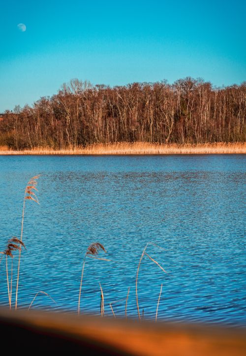 Free A tranquil lake with clear blue waters and forested backdrop under a bright, clear sky. Stock Photo