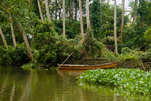 Free Wooden Boat Moored to the Pier in the Forest Stock Photo