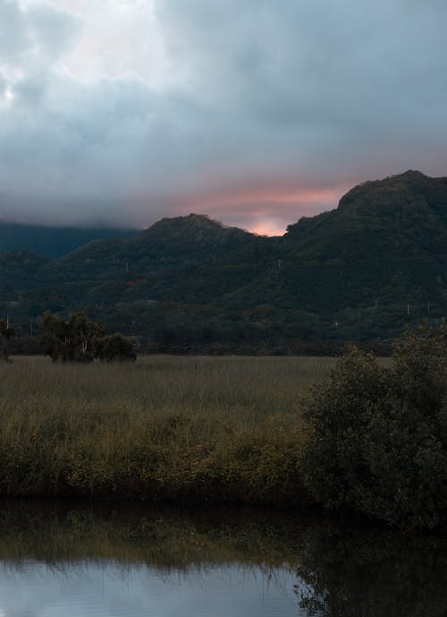 丘陵, 垂直拍攝, 日落 的 免費圖庫相片
