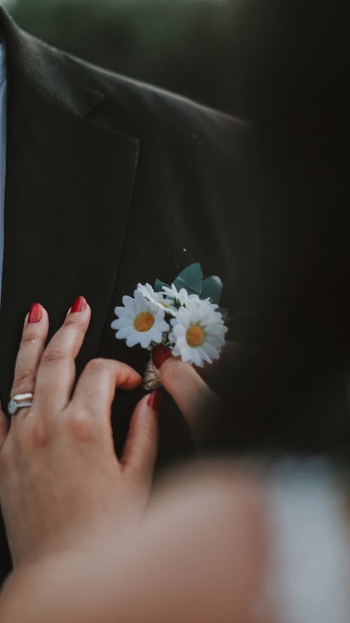 Foto stok gratis aksesoris, boutonniere, disematkan