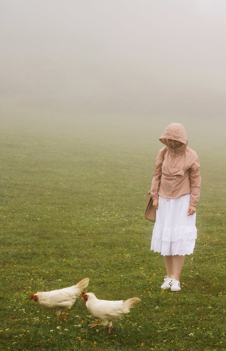 Woman On Meadow Looking At Chickens