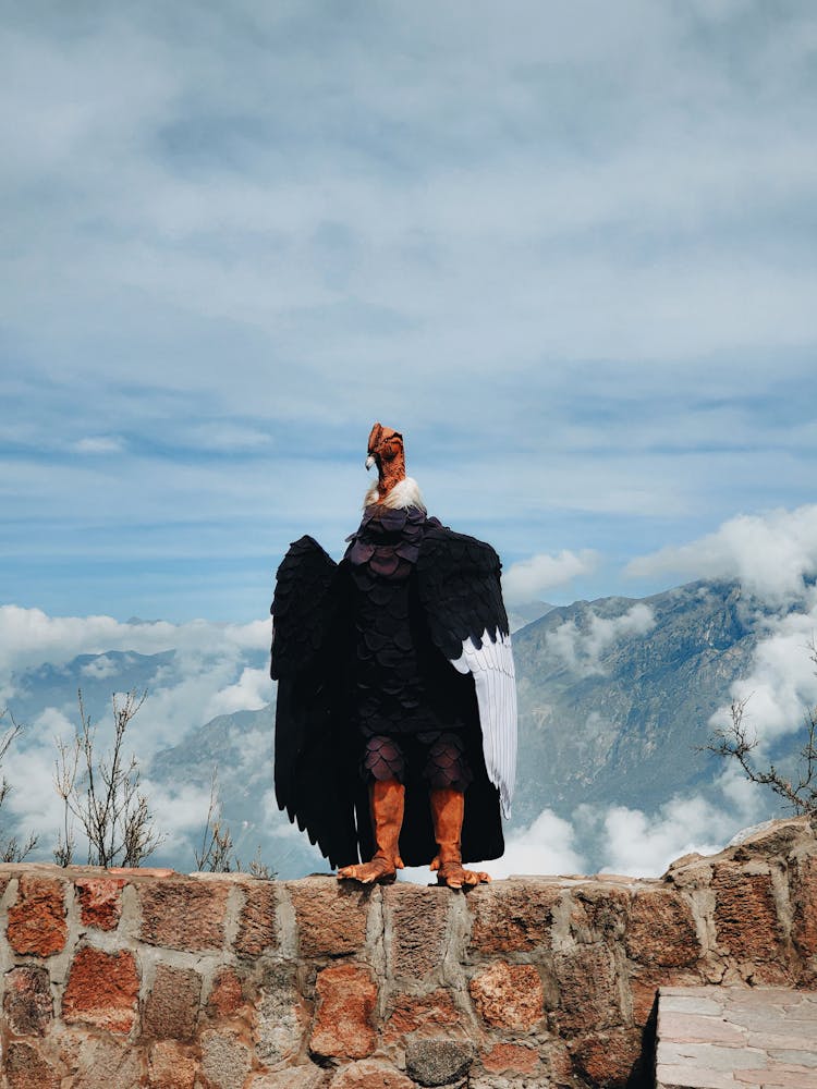 Person Posing In Condor Costume