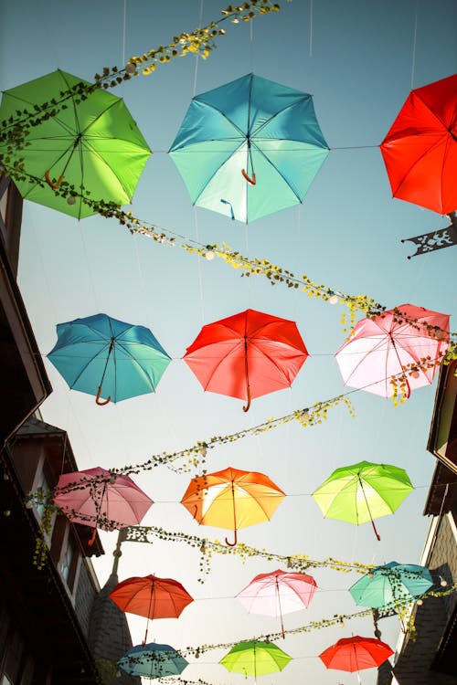 Colorful Umbrellas Hanging above the Street in City 