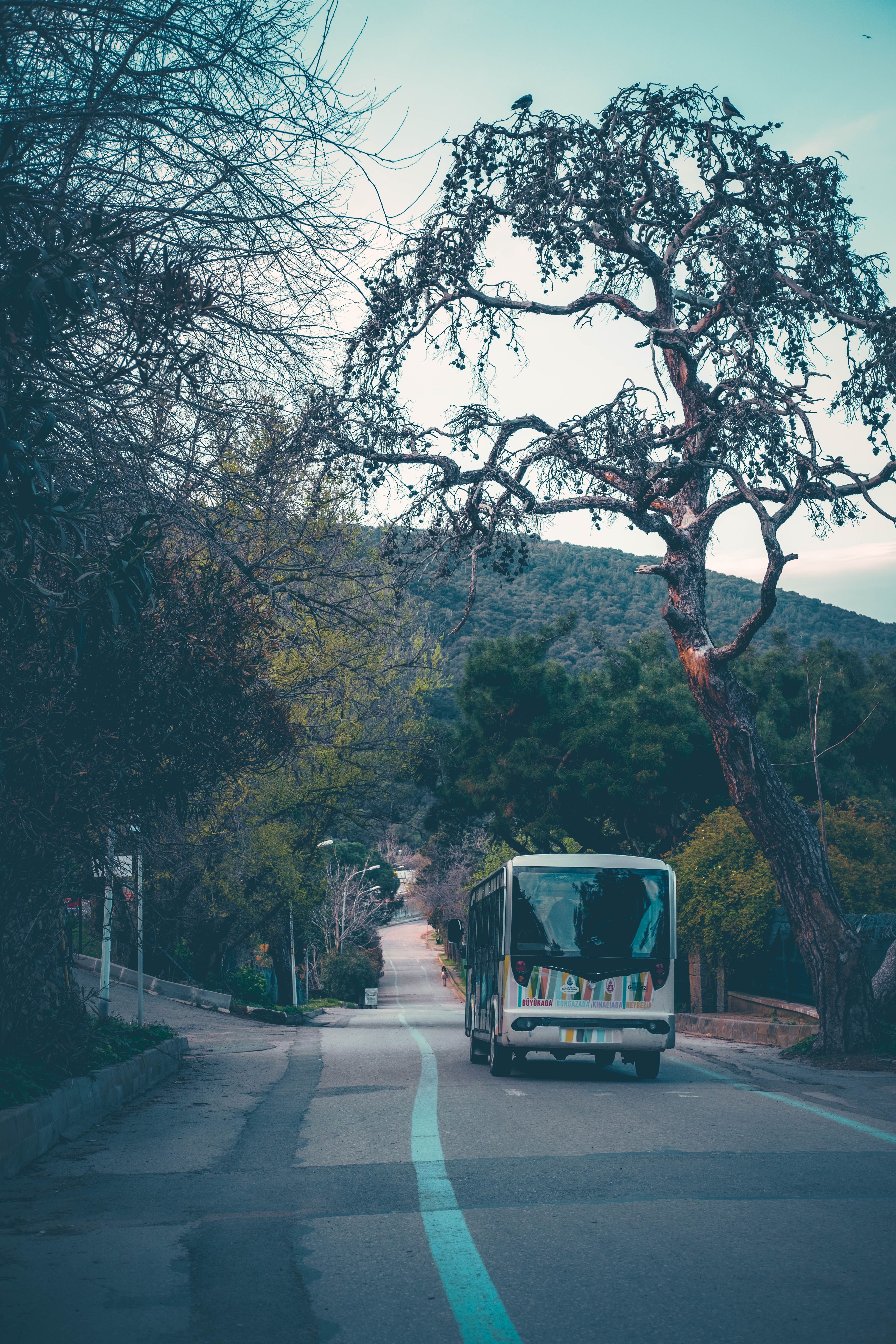 Bus Vacation